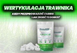 Wertykulacja trawnika kiedy – kiedy przeprowadzić zabieg i jak zrobić to dobrze?