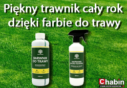 Jak poprawić wygląd trawnika? Farby i barwniki do trawy – skuteczne rozwiązanie