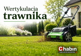 Wertykulacja trawnika – kiedy, jak i czym wykonać ją krok po kroku?