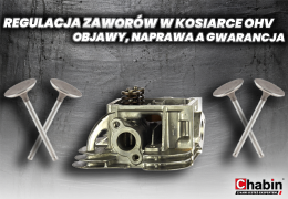 Regulacja zaworów w kosiarce OHV – objawy, naprawa a gwarancja
