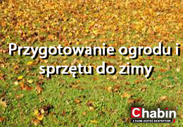 Przygotuj się do zimy – poradnik zaopatrzenia ogrodnika