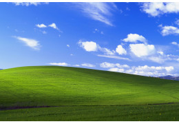 Nie wyrzucaj liści! Dzięki GrassAdd+ zamienisz je w naturalny nawóz