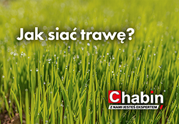 Jak siać trawę? Poradnik krok po kroku