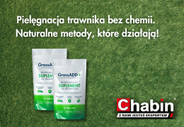 Pielęgnacja trawnika bez chemii: Naturalne metody i ekologiczne trendy