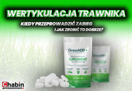 Wertykulacja trawnika kiedy – kiedy przeprowadzić zabieg i jak zrobić to dobrze?