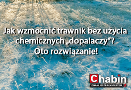 Jak wzmocnić trawnik bez użycia chemicznych „dopalaczy”? Oto rozwiązanie