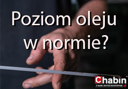 Najczęstsze usterki misek olejowych w kosiarkach