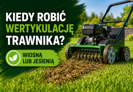 Kiedy robić wertykulację trawnika? Wiosną czy jesienią – najlepszy termin i zasady