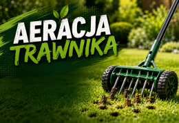 Aeracja trawnika – kiedy, jak i czym prawidłowo napowietrzyć trawnik?