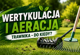 Wertykulacja i aeracja trawnika – do kiedy można je wykonać wiosną i jesienią?