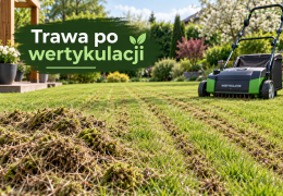 Trawa po wertykulacji – jak powinna wyglądać i co zrobić, żeby szybko się zregenerowała?