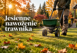 Jesienne nawożenie trawnika – kiedy, czym i jak nawozić trawę przed zimą?