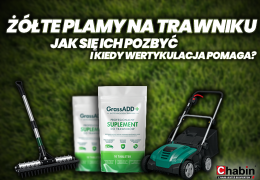 Żółte plamy na trawniku  – jak się ich pozbyć i kiedy wertykulacja naprawdę pomaga?