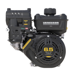 Silnik Briggs & Stratton...
