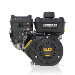Silnik Briggs & Stratton...