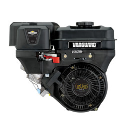 Silnik Briggs & Stratton...