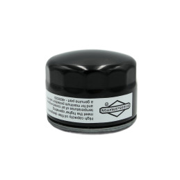 Filtr oleju Briggs &...