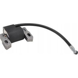 Cewka zapłonowa Briggs &...